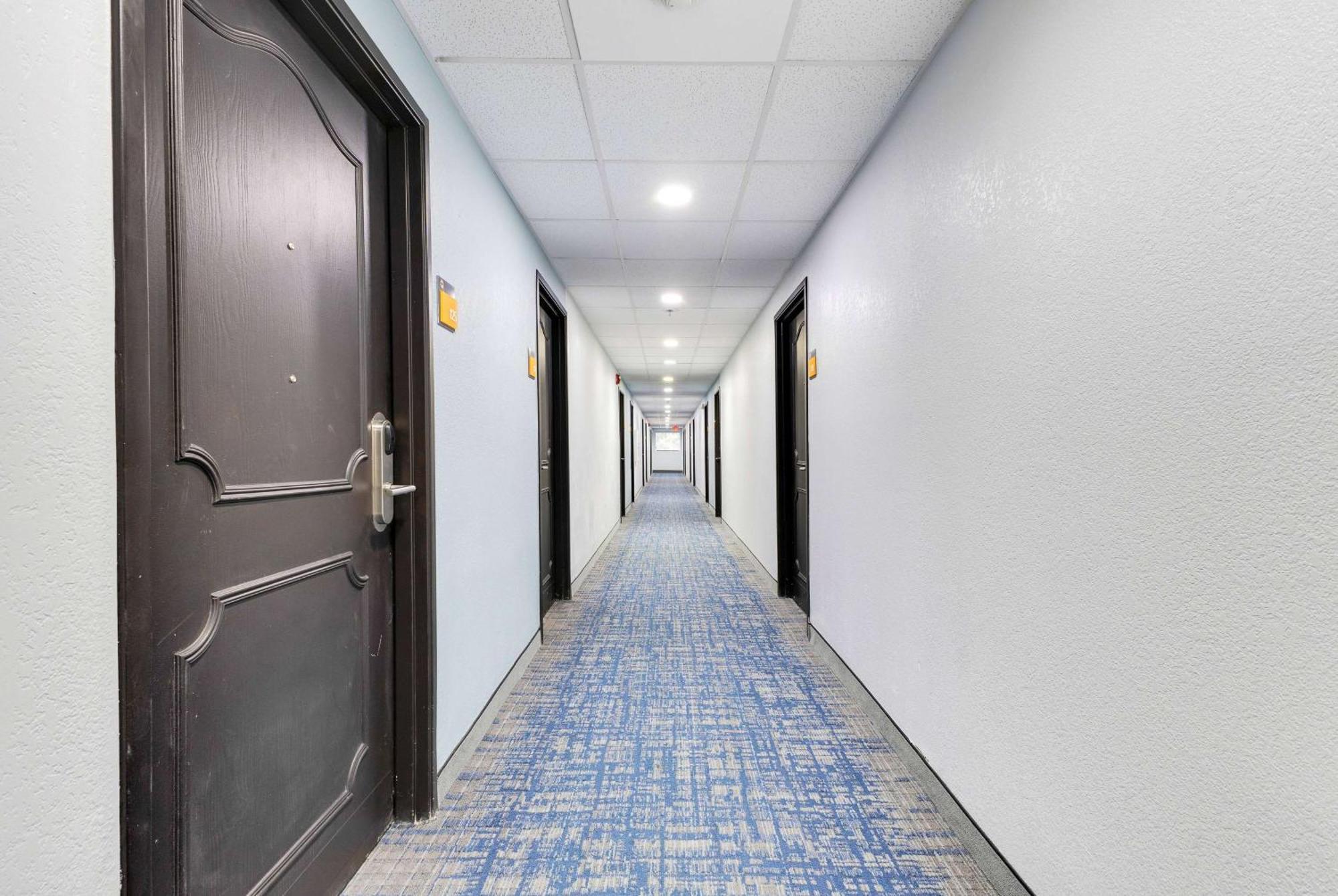 La Quinta Inn & Suites By Wyndham Jacksonville Mandarin Εξωτερικό φωτογραφία